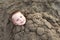 Smiling kid buried in sand on beach