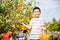 A smiling kid eagerly reaches for an orange in a lush orange tree garden