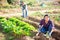 Smiling Latina spudding cabbage plants in vegetable garden