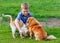 Smiling little boy feeds homeless cat and redhead stray dog in