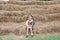 Smiling of little child girl and warm clothes sitting on pile of straw on a winter season