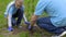 Smiling little girl and aged man volunteers planting tree in park, green future