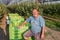 Smiling man in apple orchard with Golden Delicious apples in large boxes on the trailers,