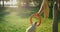 Smiling man giving pink puller toy teasing golden retriever in sunlight park