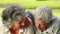 Smiling mature couple lying on the grass