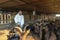 Smiling Mature Farmer Hand Feeding Goats in His Barn