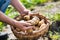 Smiling mature farmer showing newly harvest potatoes at farm