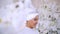 Smiling muslim bride with bridal make up in flowers
