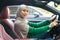 Smiling muslim woman driving her new car in urban city