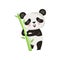 Smiling panda standing with green bamboo stick. Cartoon character of black and white exotic bear. Flat vector design