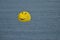 Smiling parasail