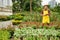 Smiling Plant Nursery Owner