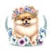 Smiling Pomeranian puppy dog in a floral crown made of spring flowers. Cartoon character for postcard, birthday, nursery decor.