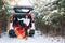 smiling pretty woman in car trunk at snowed winter forest