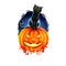 Smiling pumpkin with candle inside and black cat sitting on background of scary blue sky and text, feline and darkness, blurred