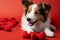 Smiling puppy with red heart background in a charming studio