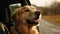 Smiling purebred retriever sitting in nature beauty generated by AI