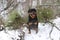 A smiling Rottweiler dog sitting in the snow