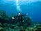 Smiling Scuba Diver descending on a Reef