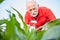 Smiling senior, gray haired, agronomist or farmer in red shirt examining corn plant leaves in a field