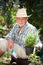 Smiling senior man in the garden