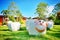 Smiling sheep chair garden decoration