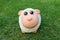 Smiling sheep doll on the grass