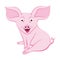 Smiling sitting pink pig with color contour.