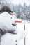 Smiling snowman with hat, scarf and carrot nose