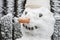 Smiling snowman in winter. Snowman Face