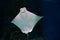 Smiling stingray swims in aquarium