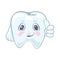 Smiling strong healthy tooth showing thumb up, like gesture. Vector cartoon illustration.
