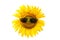 Smiling sunflower wearing black sunglasses isolated on white