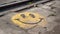 Smiling symbol of love and friendship in cheerful outdoor fun generated by AI