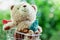 Smiling teddy bear doll sitting in mini shopping cart or trolley