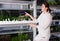 Smiling teenage girl is looking at marine plants and agla