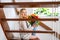 Smiling toothless little girl with a huge bunch of tulips sitting on the wooden staircase in the modern house. Girl getting