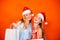 Smiling two women with Christmas hat holding shopping bags.