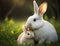 A smiling white rabbit mother playing with her baby in an affectionate moment, blurred green grass background, generative AI