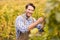 Smiling winegrower harvesting the grapes