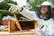 Smiling woman as beekeeper using broom to brush off bees