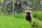 Smiling Woman with Camera in Bali Rice Field