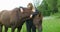 Smiling woman caressing her arabian horse in the field