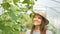 Smiling woman collects cucumbers in greenhouse