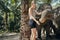 Smiling woman feeding bananas to an elephant at a sanctuary