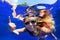 Smiling woman in goggles swim underwater, showing hand sign Shaka