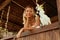 Smiling woman with parrot at tropical spa resort in summer