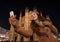 Smiling woman taking selfie in front of Duomo in evening, Milan
