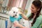 smiling woman and white poodle. Dog gets hair cut at Pet Spa Grooming Salon. Closeup of Dog. groomer concept.the dog has a haircut