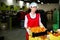 Smiling workwoman engaged on fruit sorting line, carrying plastic box with apricots in storage